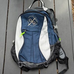 Blue and Gray Adventure Backpack